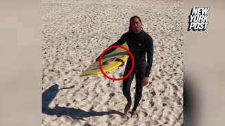 Man takes pet snake surfing in wild video: ‘She loved to be in the water’