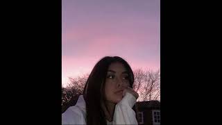 Shuster - Damy (lyrics)