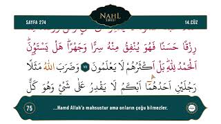 Diyanet Ok Takipli Hatim 14. Cüz - Kur'an-ı Kerim 274. Sayfa - Nahl Suresi 73-79. Ayetler