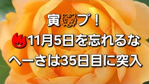 2025年11月7日　この件に注目👁👁してくれてありがとう🤩✨その大きなよ～因の一つとは…⁉️真💖実を見つめ 続けよう✨愛と気づきをすべての人へ❤️
