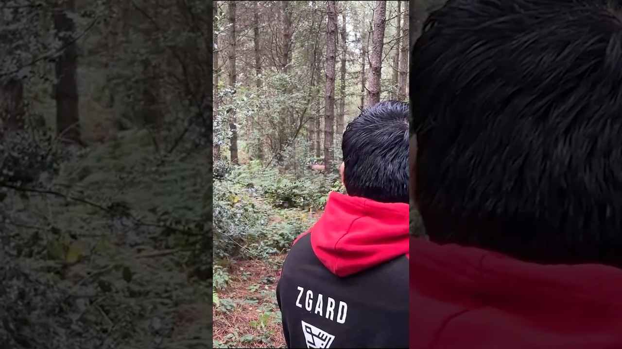 Стрела полетела точно в цель 