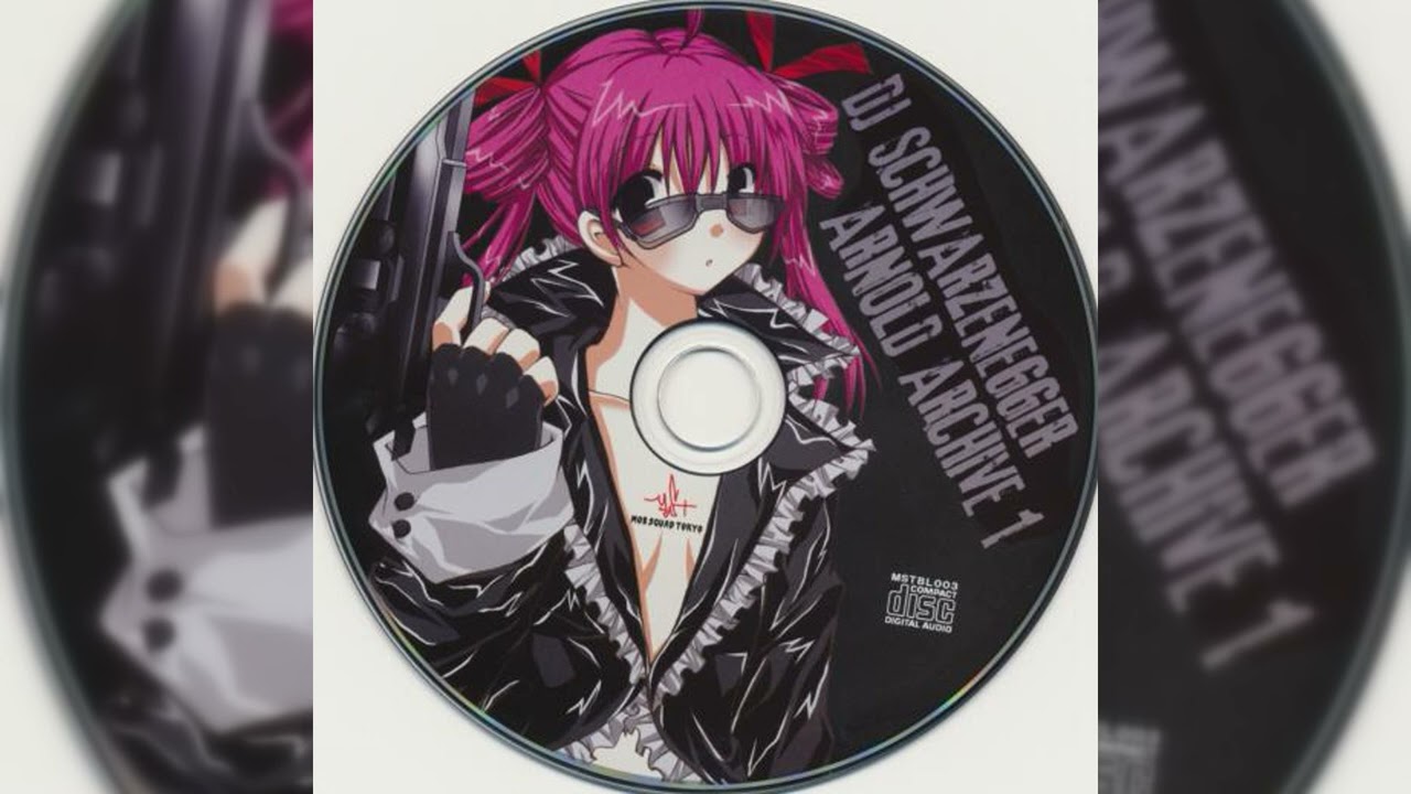 DJ Schwarzenegger - WE ARE ! SAILOR FUKU !