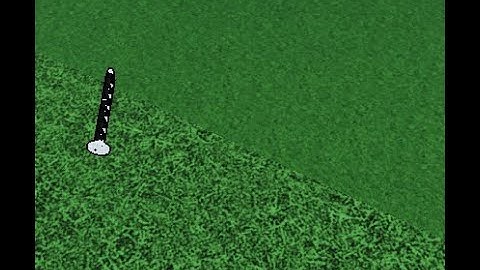 [Rogue Demon] Different Invisibility glitch