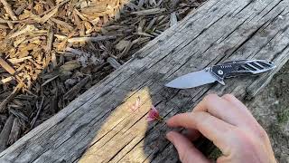 How to Tell If Frost Killed Your Peach Blossoms