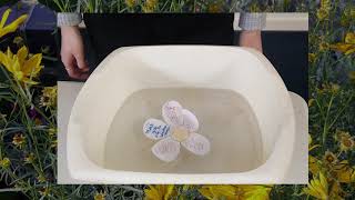 Floating flower prayer activity