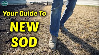 How To Care For NEW SOD In Your Lawn