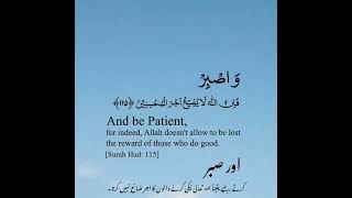 Surah Hud Ayat:115 #shorts #shortvideo #viral #quran