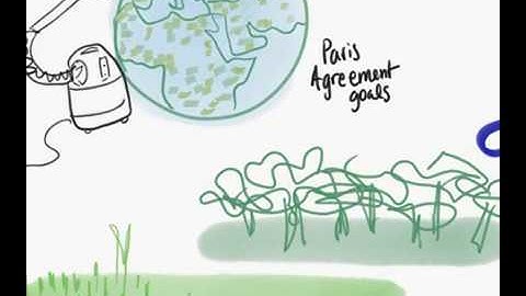 Understanding: Bioenergy with Carbon Capture and Storage (BECCS)