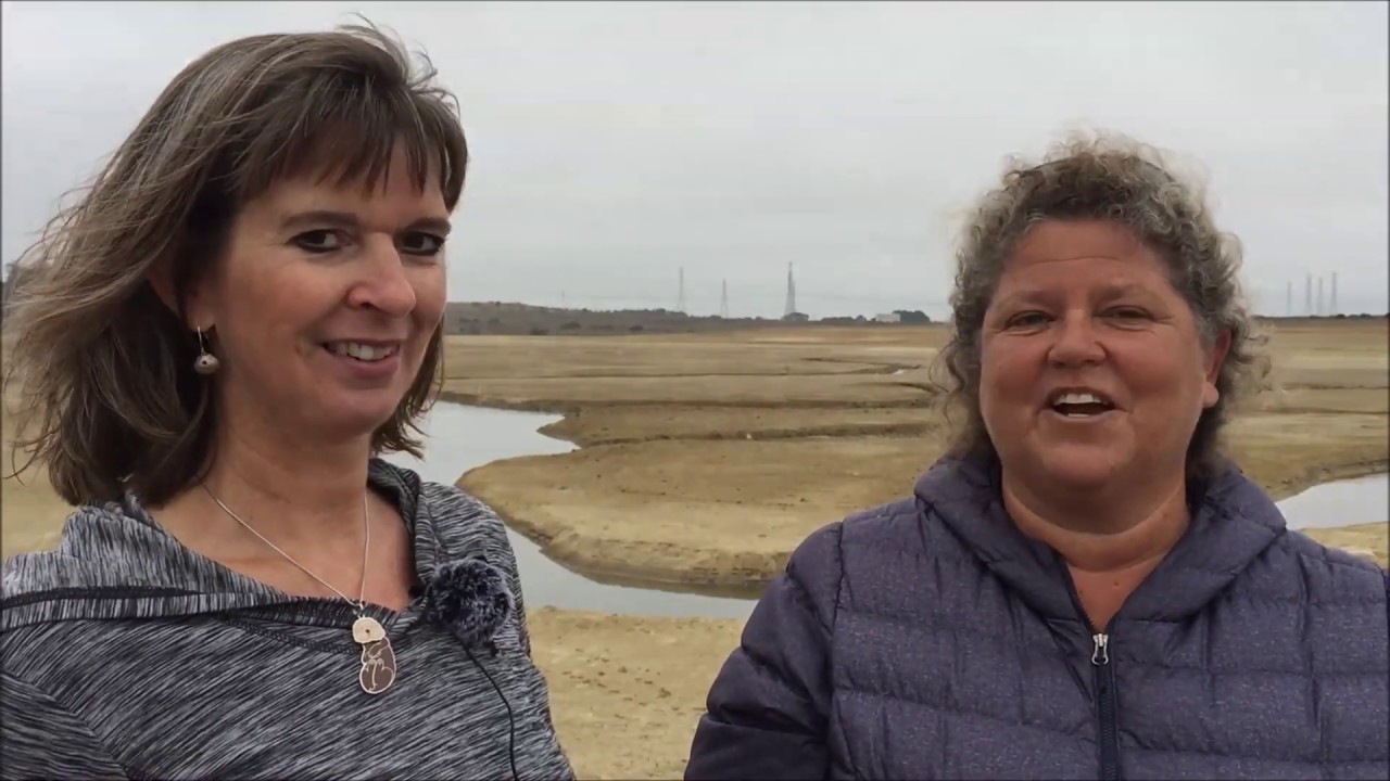 Diving into Hester Marsh with Elkhorn Slough Foundation