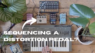 SH-101 // Fairfield Roger That // Chase Bliss Mood, Blooper, Thermae // 0-CTRL