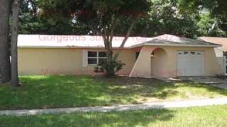 13910 Capitol Dr, Tampa FL 33613 North Pointe The Duncan Duo SearchMLSTampa.com
