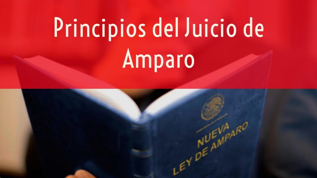Principios Fundamentales del Juicio de Amparo - YouTube