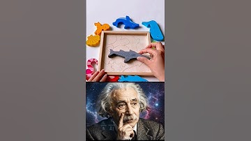 Einstein’s Brain Teaser  Genius Puzzle Challenge? #Shorts