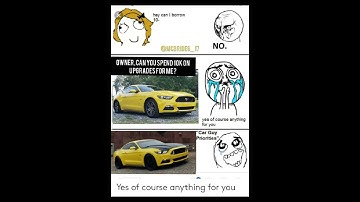 posting memes until i get 100 subs