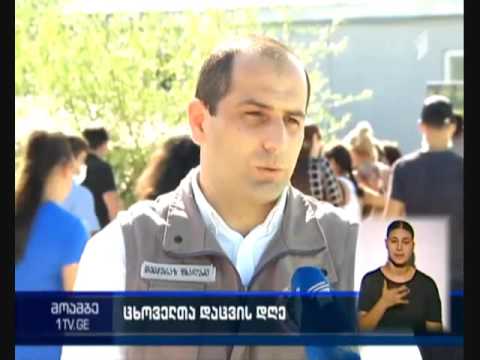 ცხოველთა მსოფლიო დღე