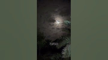 قرآن كريم ارح سمعك #تلاوة_هادئة #تلاوة_خاشعة #المصحف #الرحمن #راحة_نفسية