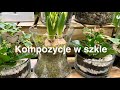 Jak zrobić las w słoju? - przewodnik krok po kroku, czyli zrób swój własny las w szkle ze mną:) 🌺🌸🌺