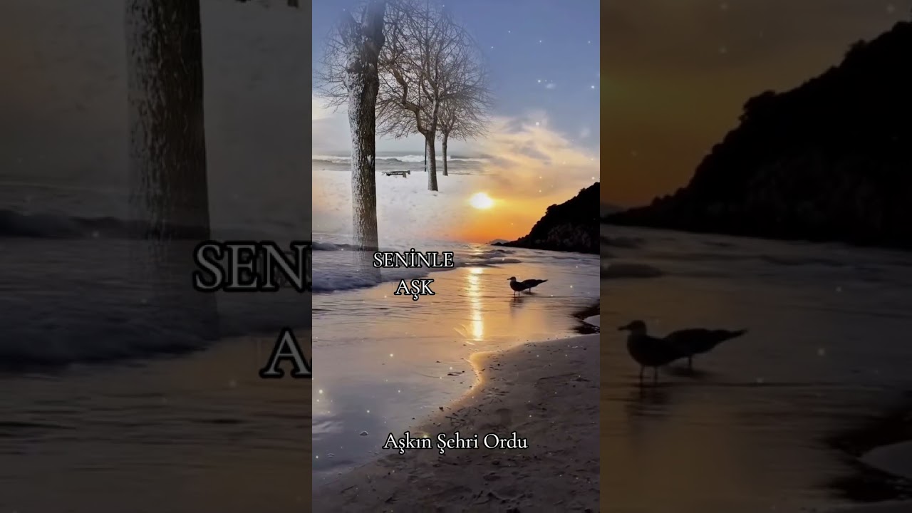 Seninle Aşk şarkı