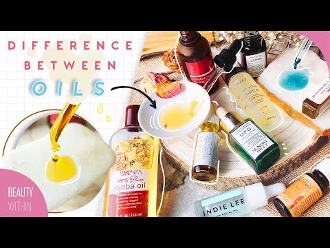 How Facial Oils Should Really Be Used In Your Skincare Routine | For Dry, Combination &amp; Oily Skin