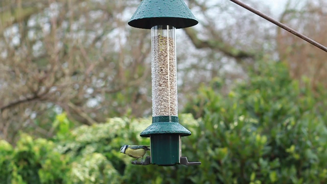 Roamwild PestOff Bird Feeder