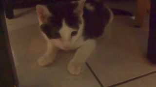 DSCF6169.AVI