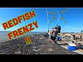 Epic Redfish Frenzy !! Fishing Redfish in Matagorda, Tx !! (6/19/21)