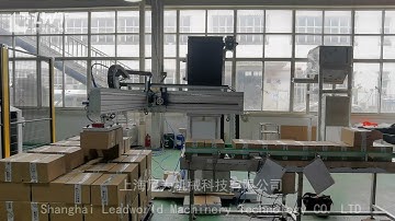 Single Column Carton Palletizer|Robotic palletizer