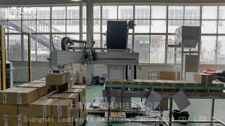 Single Column Carton Palletizer|Robotic palletizer