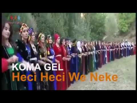 Koma Gel - Heci Heci We Neke