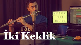 İki Keklik - Mustafa Tuna | Flüt Solo ( Flute Cover ) #flute #flüt Resimi
