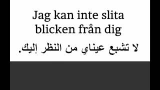 تعلم السويدية: جمل شائعة للتعبير عن الحب والتقدير.