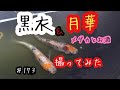 メダカとお酒　♯１７３【黒衣＆月華　撮ってみた！！】