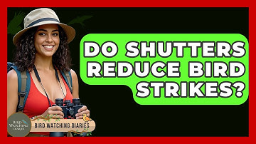 Do Shutters Reduce Bird Strikes? - Bird Watching Diaries