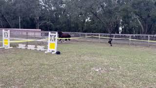 Luca Free Jumping #2