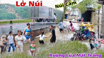 Sạt Lỡ Núi Sụp Đường chìm lúa Vùng 7 Núi An Giang Kẻ khóc người la tan thương nghe mà buồn