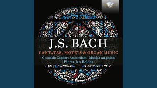 Choral. Vater unser in Himmelreich, BWV 682
