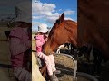 It doesn't get much more beautiful than this 😭 🎥 via Kelli Thomas