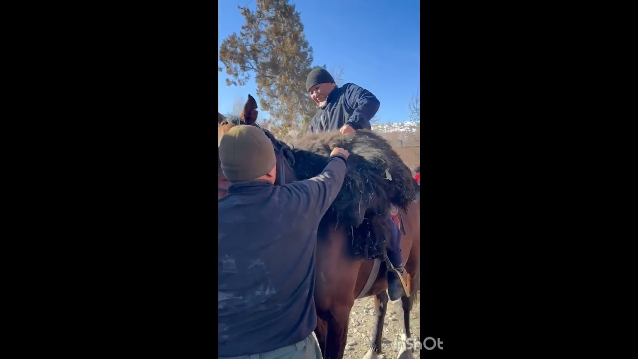 14.012026 Каракулжа Жийде айылы Алимсултан досумун улагы