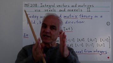 Integral vectors and matrices via vexels and maxels II | Data structures Math Foundations 208