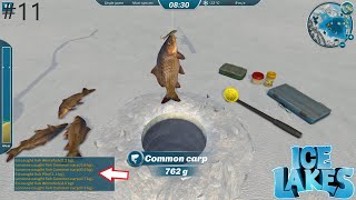 Am prins numai Common Carp Am castigat  (Ice Lakes ep. 11)