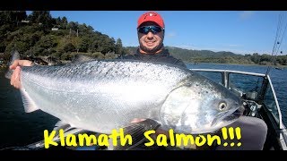 Each summer and early fall salmon return to northern california's
klamath river - for more than three decades mick thomas of lunker fish
trips has been g...