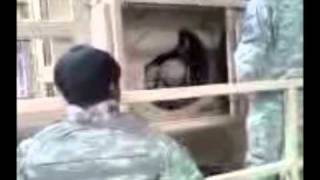 Rolling Over with the Humvee HEAT Training Simulator