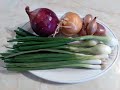 The Ultimate Guide to Small Onions: Shallots, Cipollini, and Pearl Onions