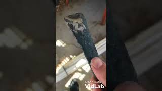 How to forge a cold chisel