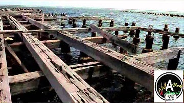 Chronixx   Capture Land Official Video The Dread And Terrible Project.