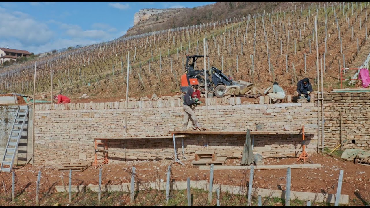 Restauration du mur de soutènement en pierre sèche du Chemin de Parvis – Vergisson