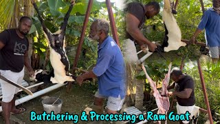 Watch us Butcher and Process a Ram Goat | Start to Finish