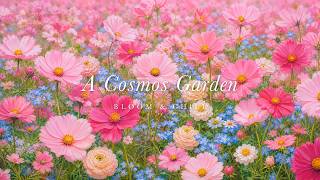 A Cosmos Garden in Soft Pastel 🌸 gentle waltz piano & flute for studying, reading & sleep