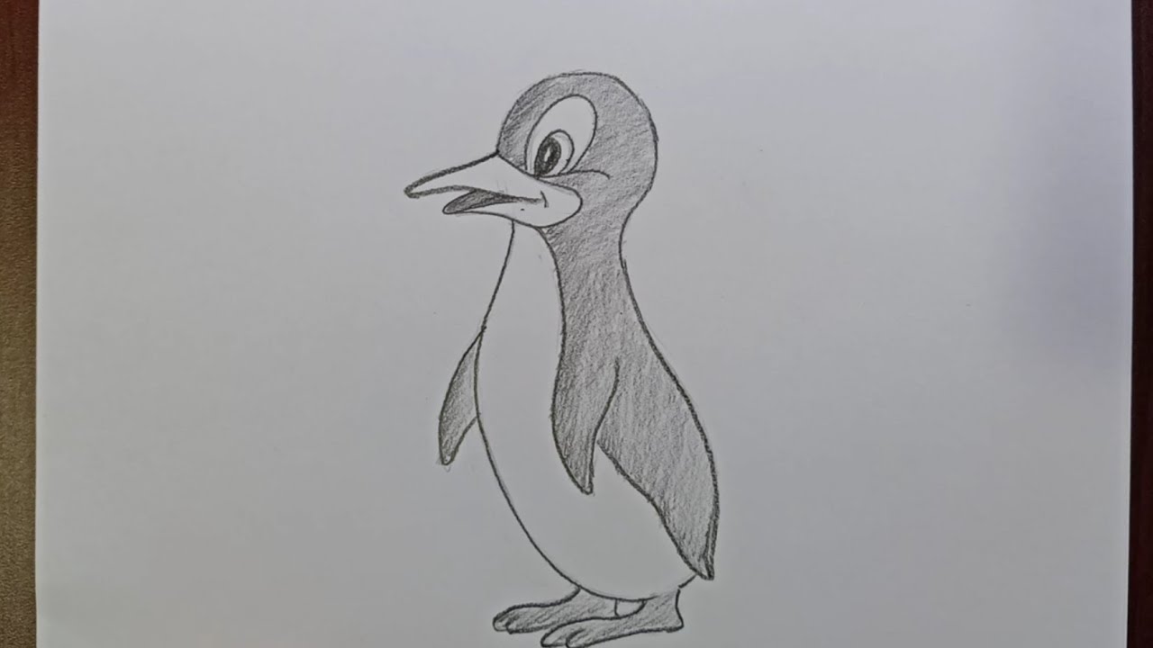 Easy pencil sketch of Penguin | pencil sketch for beginners - YouTube