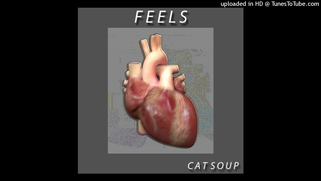 Cat Soup - Confusion
